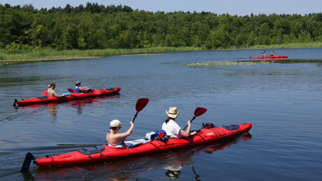 Kayaks Mecklenburgische Seenplatte